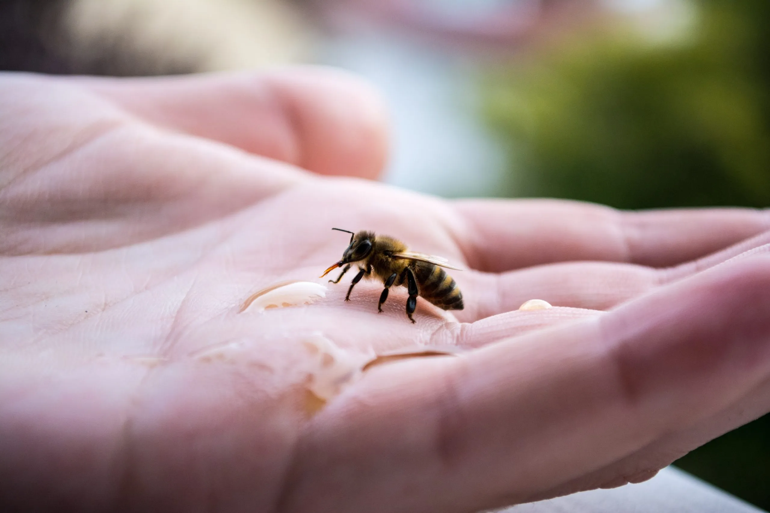 Biodiversität