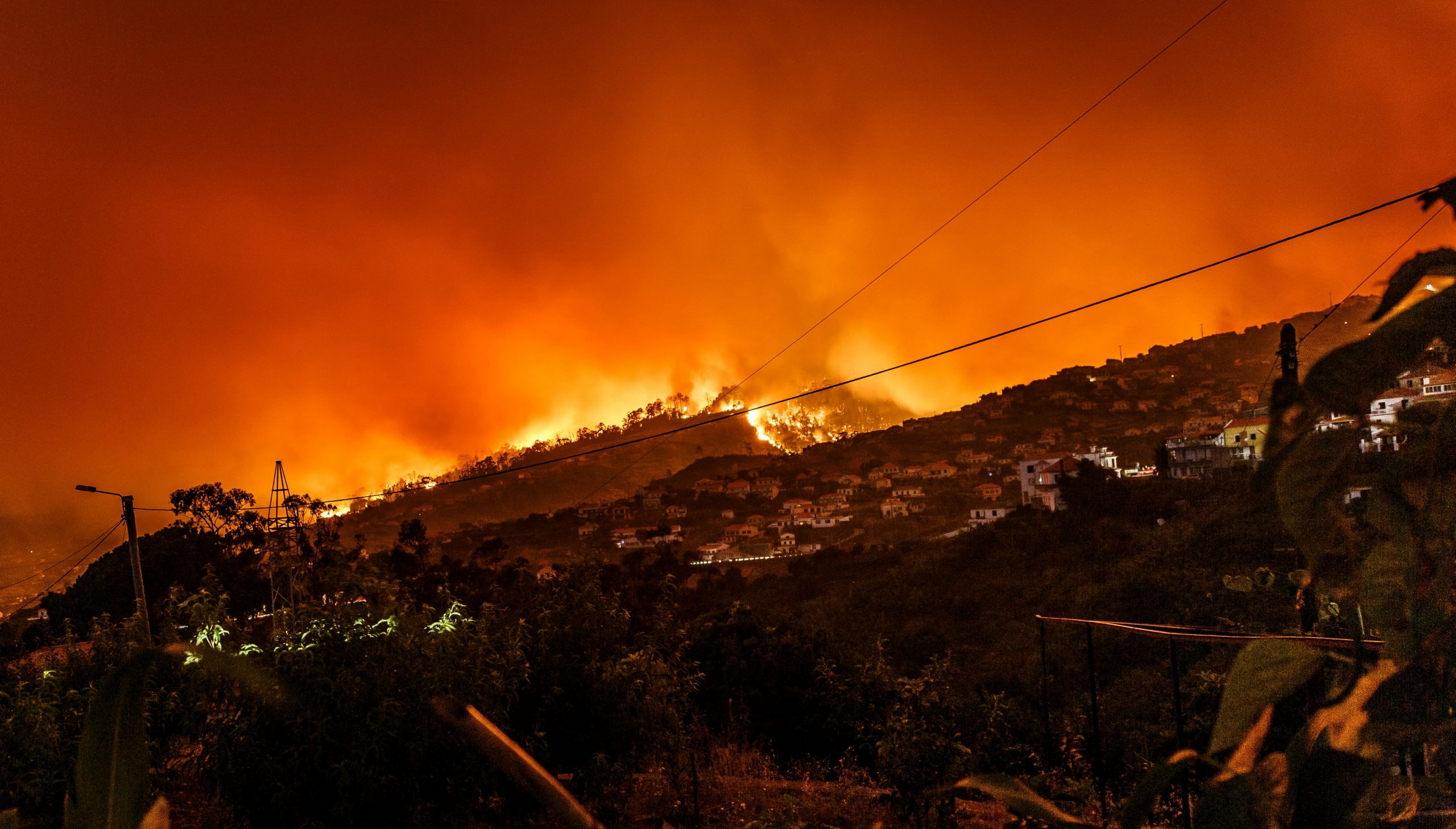 Waldbrand