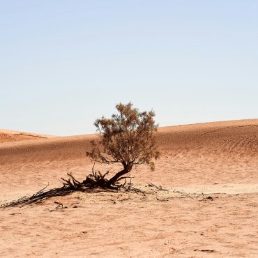 Migration und Klimawandel