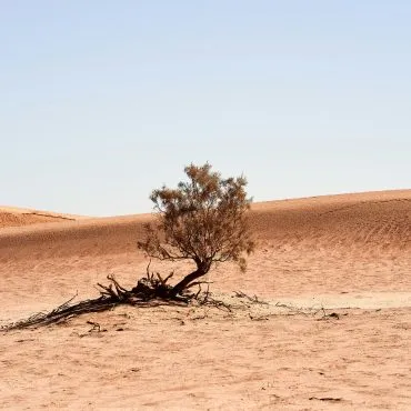 Migration und Klimawandel