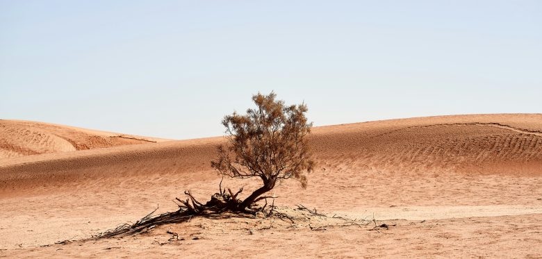 Migration und Klimawandel