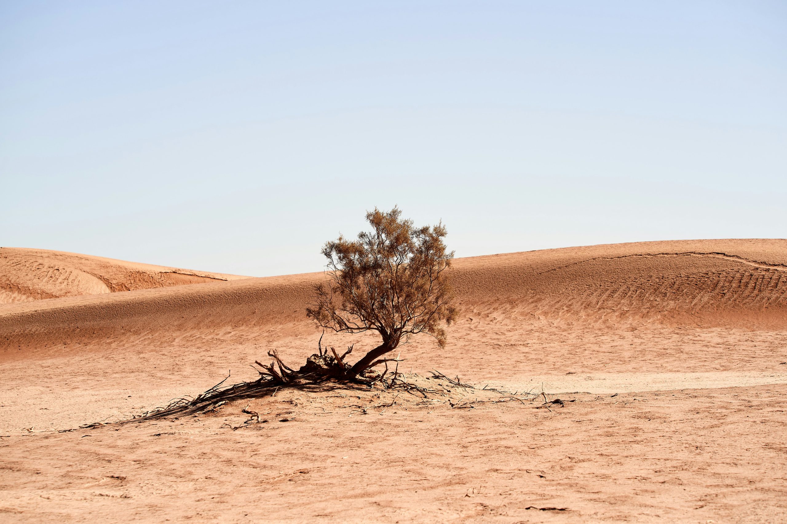 Migration und Klimawandel